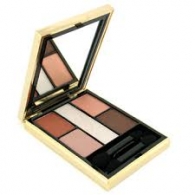 YSL Ombres 5 Lumieres Тени для век 5-цветные компактные